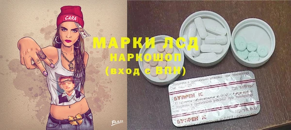 кокс Баксан